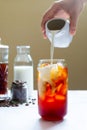 A glass of homemade cold brew coffee with milk Royalty Free Stock Photo