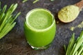 A glass of homemade green barley grass juice with fresh barley grass blades and powder Royalty Free Stock Photo