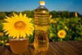 Glass honey jar and bottle of oil on wooden stand with sunflowers field background