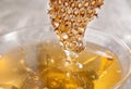 Glass honey pot and honey comb Royalty Free Stock Photo