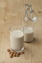 Glass Horchata milk Royalty Free Stock Photo