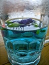 a glass of hot water with butterfly pea flowers