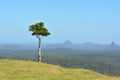 Glass House Mountains in the Sunshine Coast, Australia Royalty Free Stock Photo