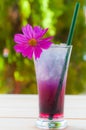 A glass of ice blueberry soda juice with purple cosmos decoration Royalty Free Stock Photo