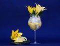 Glass with ice, cold water, lemon and fresh yellow lilies near small plate with ice cream on blue cobalt background Royalty Free Stock Photo