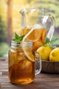 Glass of ice tea with lemon and mint Royalty Free Stock Photo