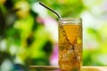 Glass of ice tea in summer garden. Royalty Free Stock Photo