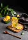 A glass of iced tea with lemon and mint on a wooden board on a dark background with citrus fruits and branch Royalty Free Stock Photo