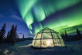 glass igloo under northern lights in a snowy landscape