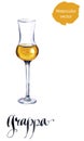 Glass of Italian grappa brandy Royalty Free Stock Photo