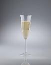 Glass of italian sparkling wine Royalty Free Stock Photo