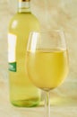 Glass of italian white wine Royalty Free Stock Photo