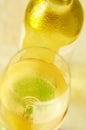 Glass of italian white wine Royalty Free Stock Photo