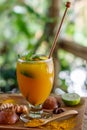 A glass of Jamu `Kunir Asam`, traditional Indonesian herbal tonic medicine Royalty Free Stock Photo