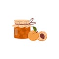 Glass jar with apricot jam, vector cartoon container with fruit juicy marmalade, natural conservation food dessert