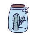 Glass jar with cactus decoration flora icon