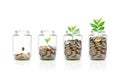 Glass jar of coins with growing plant Royalty Free Stock Photo