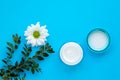 Glass jar of cream, ointment with natural daisy. Herbal cosmetics, skin care concept. Bottle with lotion and white chamomile Royalty Free Stock Photo