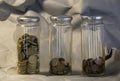 Glass jar of euro coins Royalty Free Stock Photo