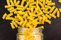 Glass jar filled with dry pasta spiral fusilli and scattered around on black background Royalty Free Stock Photo