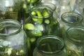 Glass jar with fresh cucumbers, closeup. Pickling vegetables Royalty Free Stock Photo