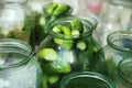 Glass jar with fresh cucumbers, closeup. Pickling vegetables Royalty Free Stock Photo
