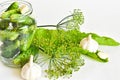 Glass jar with fresh cucumbers and dill for marinating vegetables on a white background. Top view, close-up, copy space. Royalty Free Stock Photo