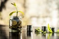 A glass jar full of coins and plant growing through it with some coins and plant leaves. Royalty Free Stock Photo