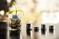 A glass jar full of coins and plant growing through it with some coins and plant leaves. Royalty Free Stock Photo