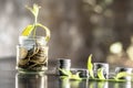 A glass jar full of coins and plant growing through it with some coins and plant leaves. Royalty Free Stock Photo