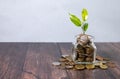 Glass jar full of euro coins and a green sprout coming out of it