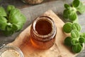 A glass jar of homemade Plectranthus amboinicus syrup for common cold