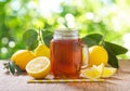 glass jar of lemon iced tea with fresh fruits Royalty Free Stock Photo