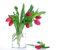 Glass jar with red tulips Royalty Free Stock Photo