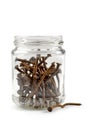 Glass jar with rusty nails Royalty Free Stock Photo