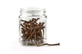 Glass jar with rusty nails Royalty Free Stock Photo