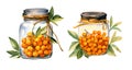 Glass jar of sea buckthorn, watercolor clipart illustration with isolated background