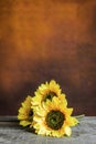 Glass jar with sunflowers on a wooden table Royalty Free Stock Photo