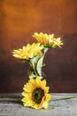 Glass jar with sunflowers on a wooden table Royalty Free Stock Photo