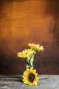 Glass jar with sunflowers on a wooden table Royalty Free Stock Photo