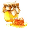 Glass jar with sweet honey and honeycombs isolated, closeup, hand drawn watercolor illustration on white Royalty Free Stock Photo
