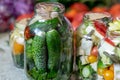 Glass jars with different colors, types, shapes of vegetables, vegetables prepared for home canning, autumn harvest time Royalty Free Stock Photo