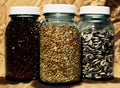 Glass Jars and Dried Beans Royalty Free Stock Photo