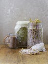 Glass jars filled with alfalfa and beet sprouts on a wooden cutting board