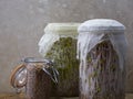 Glass jars filled with alfalfa and beet sprouts on a wooden cutting board