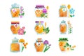 Glass jars of herbal honey set, natural golden organic honey and wild flowers vector Illustrations on a white background