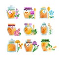 Glass jars of herbal honey set, natural golden organic honey and wild flowers vector Illustrations on a white background