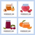 Glass jars with homemade fruit or berries jam vector set, juicy apricot, strawberry, cherry and orange confiture labels Royalty Free Stock Photo