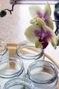 Glass jars with natural homemade organic yogurt in yogurt maker. Nearby is a delicate pink orchid flower Royalty Free Stock Photo