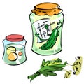 Glass jars with pickled vegetables. A pickled cucumber solves a crossword puzzle in a glass jar Royalty Free Stock Photo